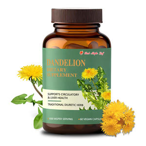 Capsules de pissenlit riches en fibres - Soutien à la santé intestinale et prébiotique, complément alimentaire naturel pour la digestion - Product Image 2