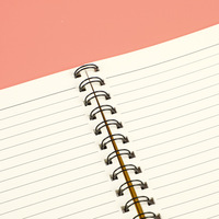 Carnets à spirales A4 avec couverture en cuir personnalisée, 60 feuilles, impression numérique, feuilles mobiles, blocs-notes créatifs à thème dessin animé, promotionnels