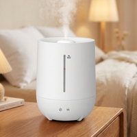 Humidificateur silencieux à prise CC de grande capacité 4L, idéal pour les chambres, les salons et les hôtels