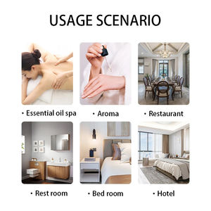 น้ำมันหอมระเหยยูคาลิปตัสออร์แกนิกบริสุทธิ์100% สารกัน<span class=keywords><strong>ยุง</strong></span>ธรรมชาติมีกลิ่นสดชื่นสำหรับผิวของเหลว10มล. - Product Image 5