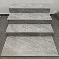 Les escaliers antidérapants Matt Surface 470x1200 peuvent être personnalisés antidérapants pour les carreaux de riser en porcelaine pour l'extérieur