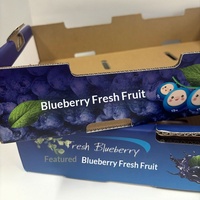 Boîte cadeau de fruits de luxe personnalisée avec sac en papier, ensemble d'emballage rigide pour myrtilles, pour la vente au détail et en gros
