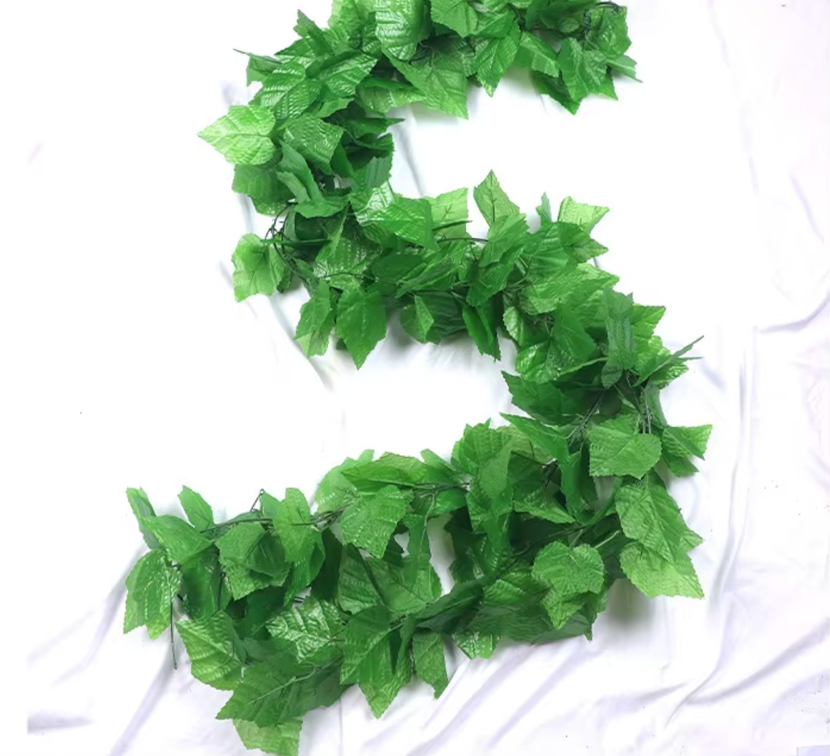 66-leaf grape vine green