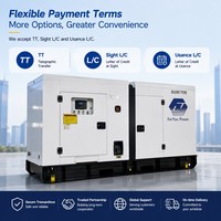 Grupo Electrógeno Diésel Profesional Silencioso de 100KVA 250KVA 500KVA 50Hz con Arranque Automático, Equipo de Energía de Reserva, Fabricante de Fábrica