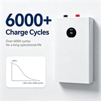 Batterie au lithium Deye 16 kWh 51,2 V 314 Ah, stockage d'énergie domestique basse tension, batteries au lithium Lifepo4 pour panneaux solaires