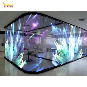 Malla Tienda <span class=keywords><strong>Video</strong></span> Wall Ultra 3D Publicidad <span class=keywords><strong>Digital</strong></span> Pantalla Flexible Transparente LED Película Pantalla para Ventana de Vidrio - Product Image 1