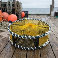 Piège cylindrique pour poulpes et crabes, panier à crabes en maille d'acier