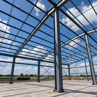 Structure en acier préfabriquée Q355B pour entrepôt à longue portée, idéale pour les projets logistiques et industriels.