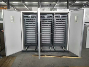 เครื่องฟักไข่ไฟฟ้าอัตโนมัติ - Product Image 3
