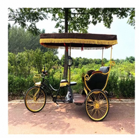 Tricycle électrique de tourisme urbain à 3 roues pour passagers, chariot de tourisme électrique, vélo cargo électrique
