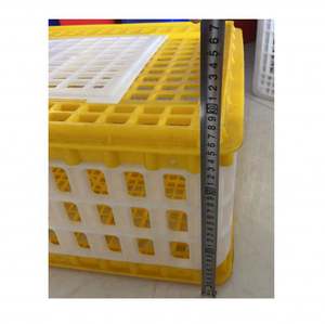 Sıcak satış en ucuz hayvan kafesleri saf plastik canlı kuşlar tavuk çiftliği için tavuk taşıma kasaları - Product Image 3