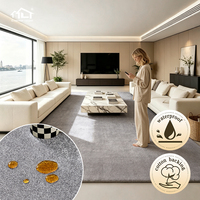 Tapis Wilton gris uni Dsermer, moderne, imperméable, résistant aux taches, pour salon, maison, exercice ou prière