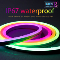 TRX 0817 Bande lumineuse LED néon flexible en silicone RVB pleine couleur étanche IP67 CRI 1060 Garantie 3 ans pour contrôle par application