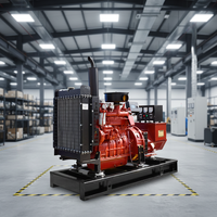 Meilleur Groupe Électrogène Diesel Économique Ricardo 20kw 30kva 50kw 60kva 100kw 120kva 200kw 250kva 500kva Directement de l'Usine Chinoise