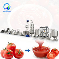 OCEAN Machine voor het maken van blikjes tomatensaus, machine voor tomatenpuree, kleine machine voor het verwerken van ketchup, prijs