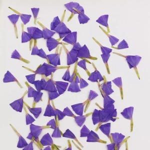20 pz/pacco dimenticami non/Statice Fortunei/lavanda di mare decorazione artistica per unghie Decal Mini <span class=keywords><strong>fiori</strong></span> naturali pressati - Product Image 6