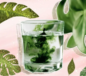 Poudre de Chlorophylline de Cuivre Sodique <span class=keywords><strong>E141</strong></span>, Colorant Alimentaire Vert Naturel Soluble dans l'Eau, Poudre de Chlorophylline CAS 11006-34-1 - Product Image 3