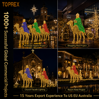Nouveau produit : Lumière LED décorative personnalisée en forme de chameau pour l'extérieur, idéale pour les rues commerciales, parcs à thème et projets de fêtes.