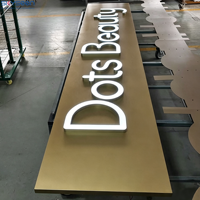 Enseignes lumineuses personnalisées SKYSEEN, lettres métalliques 3D, signalétique LED acrylique rétroéclairée pour les entreprises, les magasins, les panneaux publicitaires