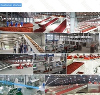 Kleinschalige Chilipeper Poeder Maken Machines Pittige Stomerij Kleursorteermachines