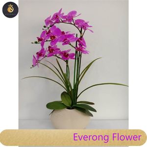 <span class=keywords><strong>Centrotavola</strong></span> con Fiori di Orchidea Phalaenopsis in Lattice Realistico in Vaso di Porcellana - Product Image 4