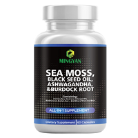 Tablet Suplemen Herbal All-in-1 OEM/ODM Sea Moss Minyak Biji Hitam Ashwagandha Akar Burdock untuk Dewasa, Mendukung Imunitas & Pencernaan