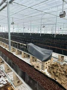 Réservoir de cuvette de culture sans sol ANTI-UV, plateaux de <span class=keywords><strong>gouttière</strong></span> pour myrtille, rose, <span class=keywords><strong>fraise</strong></span>, tomate, fleurs coupées fraîches - Product Image 6