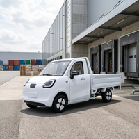 Camion de fret électrique, mini pick-up électrique avec benne, camion électrique 4 roues pour adultes, pour la livraison en milieu agricole et logistique urbaine