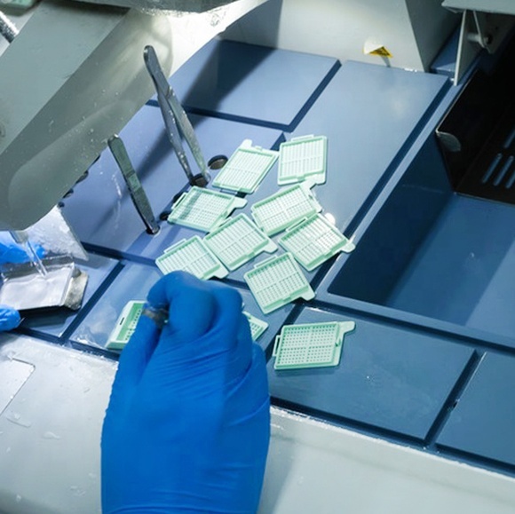 Lab Use Disposable Plastic Tissue Histology Biopsy Embedding Cassette for Pathology