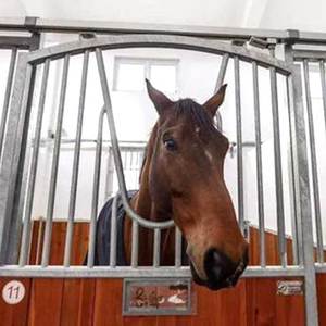 Ngựa Đứng tự do ngựa ổn định cho ổn định ngựa di động ổn định - Product Image 6