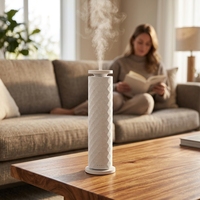 Diffuseur d'arômes intelligent à commande à distance avec minuterie automatique, diffusion d'arômes électriques, aromathérapie à air froid, parfum d'ambiance pour hôtel et maison