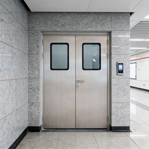 Puertas de Acero Galvanizado de Alta Calidad, Resistentes al Fuego por 120 Minutos, para Cuartos de Rayos X, Apartamentos Modernos y Sótanos, Tamaños Personalizables - Product Image 2