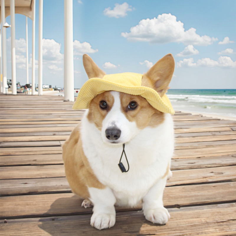 Summer Pet Apparel Accessories Sunshade Fisherman