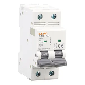 ETEK ce mini circuit breaker Two Phase mcb EKM1-125S 6KA 63 amp circuit breaker