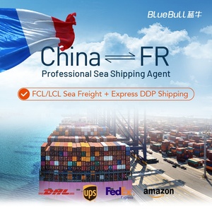 대양화물 운송화물 운송 대행 물류 가격 DDU DDP CIF FCL LCL 도어투도어 중국에서 미국까지 EU 프랑스 - Product Image 6