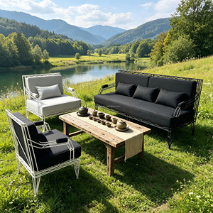 Fauteuil simple en <span class=keywords><strong>fer</strong></span> <span class=keywords><strong>forgé</strong></span> tressé, avec coussin amovible et lavable, style Mid-Century Modern, pour appartement, salle de sport, villa, ou fenêtre en <span class=keywords><strong>baie</strong></span>, idéal pour la détente - Product Image 2