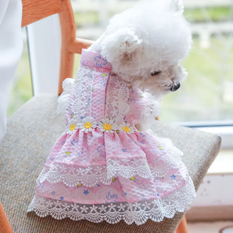 डेज़ी डिजाइनर लड़की कुत्ता कपड़े फीता एज गर्मियों में वसंत बिल्ली के बच्चे के लिए टूटू स्कर्ट मीठा गुलाबी राजकुमारी बिल्ली पालतू कपड़े