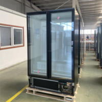 Réfrigérateur-congélateur commercial vertical à double porte de haute qualité, vitrine réfrigérée en verre pour supermarché, magasin