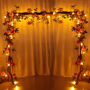 Fairy Lights Outdoor Waterproof Room Decorative Fairy String Led Light
