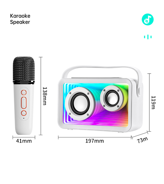 Portable RGB Party Subwoofer, 15W Peak Power Stereo Karaoke Speaker Waterproof Wireless Music Box with Dual Microphone
