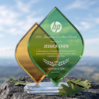 Trophée en cristal vierge en forme de feuille dégradé jaune-vert, grande surface de gravure, écologique, récompense d'entreprise, vente chaude