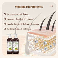 Shampooing au gingembre à base de plantes de marque privée Revitalisant anti-chute de cheveux Renforce les cheveux Épaisseur des cheveux Croissance des cheveux Gingembre naturel biologique