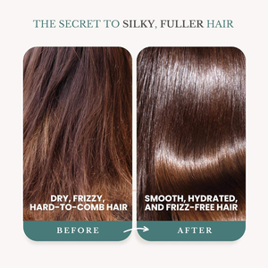 Set <span class=keywords><strong>Shampoo</strong></span> e Balsamo al Rosmarino OEM per Capelli Tinti e Permanentati, Anti-Forfora, Controllo Oleosità, Riparazione, Effetto Luminoso e Setoso - Product Image 2
