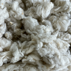 Residuos de fibra de algodón, tarjeta lickerin, cantidad a granel, fardos de algodón, algodón crudo sin blanquear para molinos de hilado, _ Sra. Min - Product Image 1