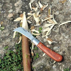 Coltello da Ocule pieghevole Peaktop con tasche da giardino - Product Image 4