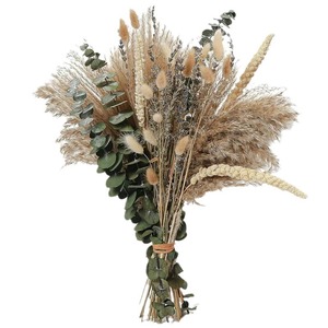 Fleurs séchées artisanales transfrontalières, décoration bohème en pampas, roseau DIY, herbe à queue de lapin, feuilles d'eucalyptus mélangées non teintes - Product Image 5
