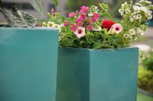 Maceta de Cerámica al por Mayor - Transpirable con Orificio de Drenaje, Económica para Interiores y Exteriores - Product Image 6