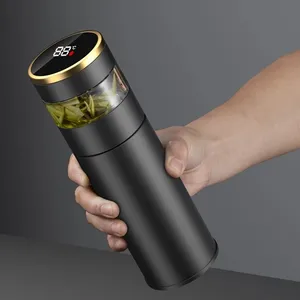 Smart 450Ml Geïsoleerde Beker Temperatuur Led Display Thee Fles Cup Met Glas Zetgroep Scheidt Thee En Water Thermos Vacuüm