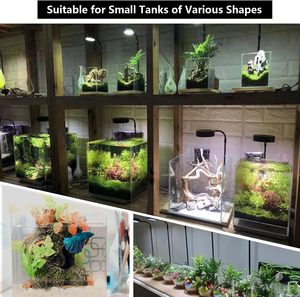 Aquariumverlichting Volledig spectrum LED Timer Automatisch aan/uit Hout Betta <span class=keywords><strong>Aquarium</strong></span> Binnenplantengroei Potplanten Succulent Miniatuur - Product Image 6