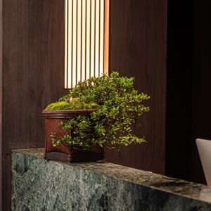 Pot de fleur tissé chinois ornement <span class=keywords><strong>vigne</strong></span> tissé jardin ou décor à la maison panier pour plantes et fleurs - Product Image 2